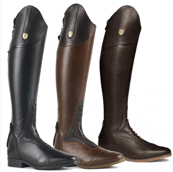 Mountain horse spring top river high rider